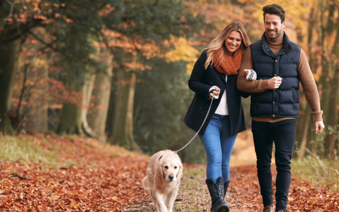 Seasonal Dry Eye: Why Are My Eyes Drier in the Fall?
